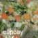 Cooksnap dari Eka Rahayue untuk resep Capcay Sayur