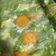 Cooksnap dari Phidy Ulan untuk resep Ca buncis wortel