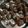 Hinal Dattani's cooksnap of when they made ખજૂર પાક (Khajoor Paak Recipe In Gujarati).