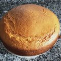 El cooksnap de Pedro Jose Casas Gomez-Carreño cuando hizo Bizcocho de yogur (gigante).