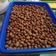 Cooksnap dari Yantie Yuliandhanie untuk resep Kacang Telor Renyah