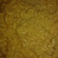 Daniel Williams's cooksnap of when they made Crock Pot Mac n' Cheese.