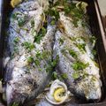 Cooksnap από Απόστολος Αθανασιάδης (LakySatan) στη συνταγή Τσιπούρες Στο Φούρνο!!!