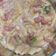 Cooksnap dari Canory Yamada untuk resep Seblak Makaroni Pedas Mantap