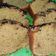 Cooksnap dari FidohSari untuk resep Coffee cake