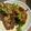 รูป Cooksnap ของ Sasi เมื่อเขาทำ ปลากะพงทอดซอสมะขาม