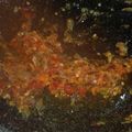 Cooksnap dari eva diandari untuk resep 172. Sambel Ayam Geprek Pedas Mantul
