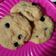 Cooksnap dari Tari Chachaq untuk resep 97. Choco Chip Raisin Cookies