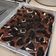 Cooksnap dari Itqan Ghazali untuk resep Chewy Brownies with Shinny Crust