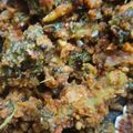 Arundhati Gadale ( अरुंधती गडाळे )'s cooksnap of when they made भरली कारली (bharali karli recipe in marathi).