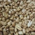 Cooksnap dari Sari untuk resep Kacang Bawang