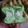 Cooksnap dari Ati Suhaeti Sudrajat untuk resep Pandan Killer Soft Bread