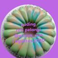 Cooksnap dari Yuyun untuk resep Puding Roti Pelangi