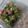 Cooksnap dari Tatu cholisoh untuk resep Tumis Wortel Bakso Buncis
