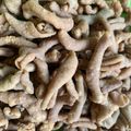 Cooksnap dari RESTI LESTARINI untuk resep Keripik usus ayam kriuk renyah
