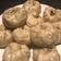 Clam Chang 的 蔥肉包子 cooksnap