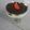 Cooksnap dari Vitania Maharani untuk resep Oreo cheesse cake