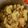 StephieCanCook's cooksnap of when they made Brad's German potato salad.