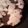 Macintosh's cooksnap of when they made Cheese and bacon 🥓 cresant rolls.
