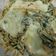 El cooksnap de nube cuando hizo Rajas poblanas con crema. ॐ.