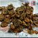 Gauri Sathe's cooksnap of when they made પાત્રા (Patra Recipe In Gujarati).