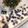 Cooksnap dari Rosiana untuk resep Puding Susu Cincau Hitam