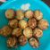 Cooksnap dari Adam Yulian untuk resep Takoyaki