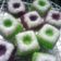 Cooksnap dari Vivien Marwan untuk resep Putu ayu cocok untuk jualan