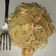 Cooksnap dari Angel Lydia Juliet Momongan untuk resep Spaghetti Shrimp Garlic Butter