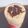 Jigna Patel's cooksnap of when they made ચોકલેટ ચીકુ મિલ્ક શેક (Chocolate Chickoo Milk Shake Recipe In Gujarati).