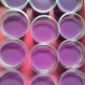 Cooksnap dari Elia Puji Astuti untuk resep puding santan ubi ungu