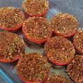 Cooksnap de Mi Jo sur la recette Tomates à la provençales