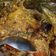 Cooksnap dari arsyll untuk resep Pepes Ayam Kemangi Pedes