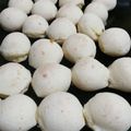 El cooksnap de Shirley Martinez cuando hizo Pan de queso Minero (Pão de Queijo).