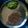 Sushmita Singh(Dudul) का कुकस्नैप जब उन्होंने मसूर दाल का चीला (masoor dal ka cheela recipe in hindi) बनाया था।