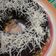 Cooksnap dari virosa maretha untuk resep Brownies Kukus NO MIXER