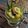 Cooksnap dari Welly Herlina untuk resep Setup Pisang