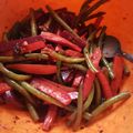 El cooksnap de Benito Bodoque cuando hizo Ensalada de betabel, zanahoria y ejotes.