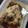 Cooksnap dari triandini untuk resep Matcha Choco Gelato