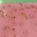 Cooksnap dari Siska Retnani untuk resep Puding Pisang / Puding Nagasari 🍌