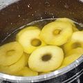 کوک اسنپ نیره کیان زاده بعد از امتحان کردن کمپوت سیب زعفرانی.