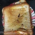 Pinal Patel's cooksnap of when they made ગ્રીલ્ડ ચીઝી આલુ મટર સેન્ડવીચ (Grilled Cheesy Aloo Matar Sandwich Recipe In Gujarati).