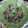 Nosheen Nadeem's cooksnap of when they made Vegetables salad.
