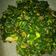 Cooksnap dari Winda Ariyani untuk resep Tumis daun pepaya rebon