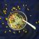 Richa Shahpatel's cooksnap of when they made કોર્ન ભેળ (Corn Bhel Recipe In Gujarati).