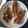 El cooksnap de Enrique C. cuando hizo Chuletas de aguja de cerdo con champiñones a la mostaza.