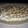 El cooksnap de Bryanna♡Aitana cuando hizo Lemon pie.