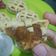 Cooksnap dari Raihan Rusli untuk resep Pie Nangka