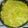 Halima Dee's cooksnap of when they made Steamed cabbage.