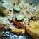 Cooksnap dari Dapur Punbiyank-ida Nurfaida arisanti untuk resep Tahu penyet kecap 